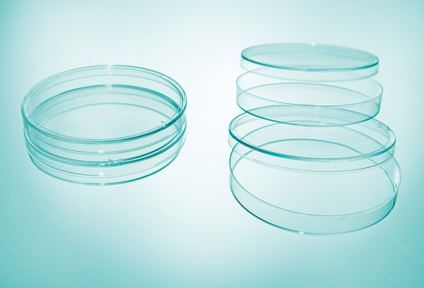 培养皿（各种尺寸）